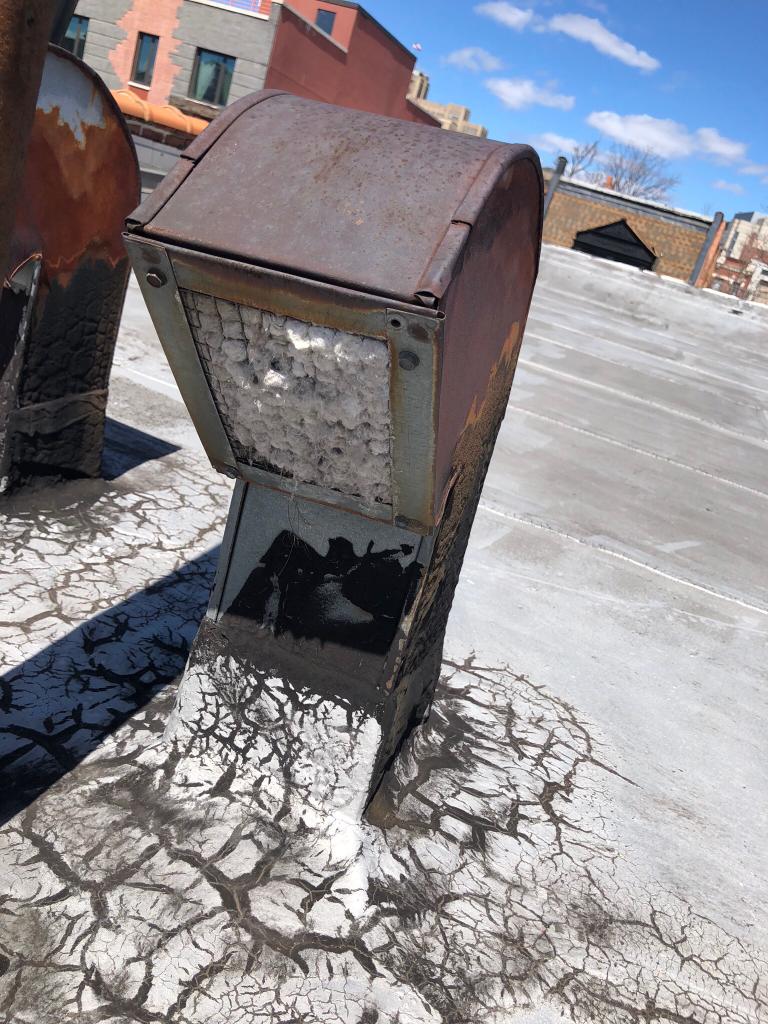 WhatsApp Image 2020-02-19 at 1.11.44 PM (7)